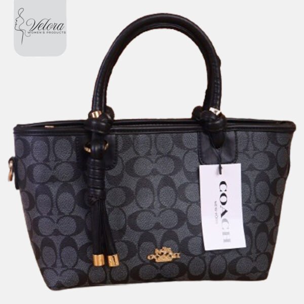 Stylish Coach | Black handbag